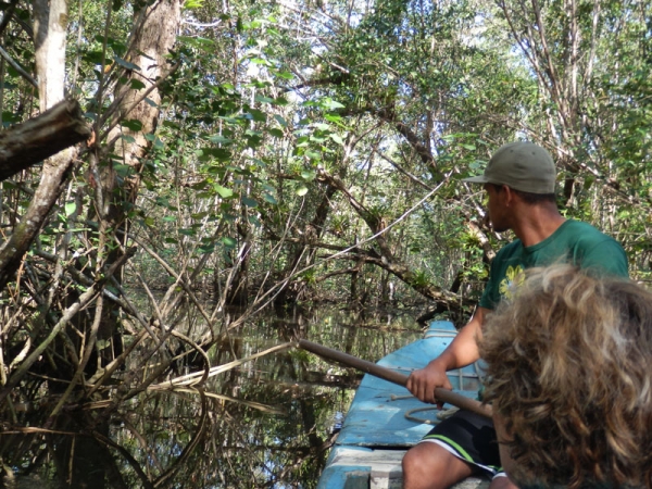 Canoe Trip - River Rio De Contas
