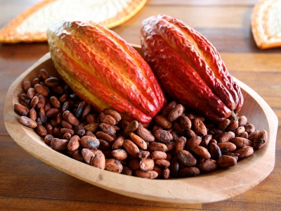 Route du Cacao