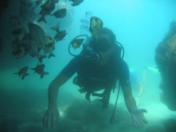 Scuba Diving Introductory Dives
